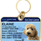 New South Wales Boat Licence Pet Collar Tags