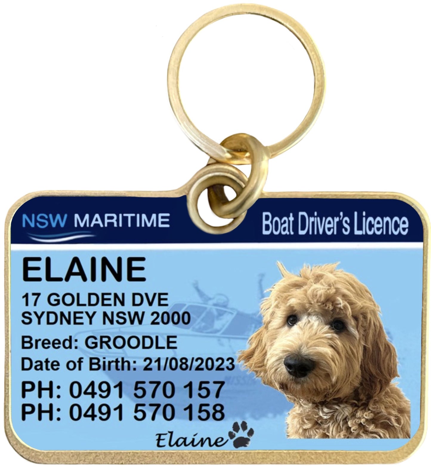 New South Wales Boat Licence Pet Collar Tags